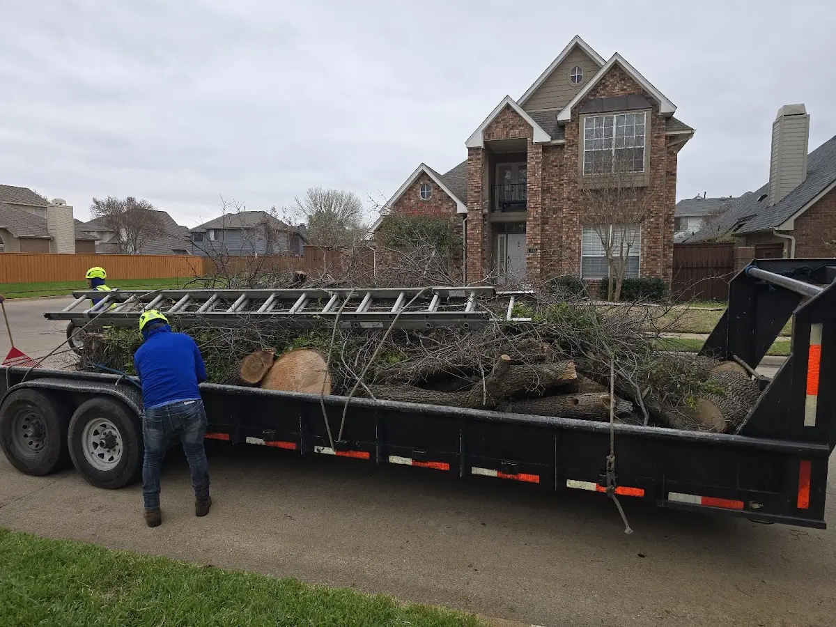 Expert Lot Clearing with proper safety equipment in La Ward